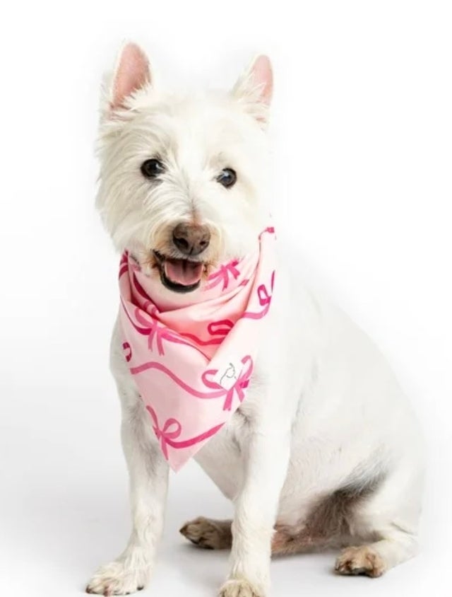 Paris Hilton x Monica + Andy Organic Cotton Pet Bandana