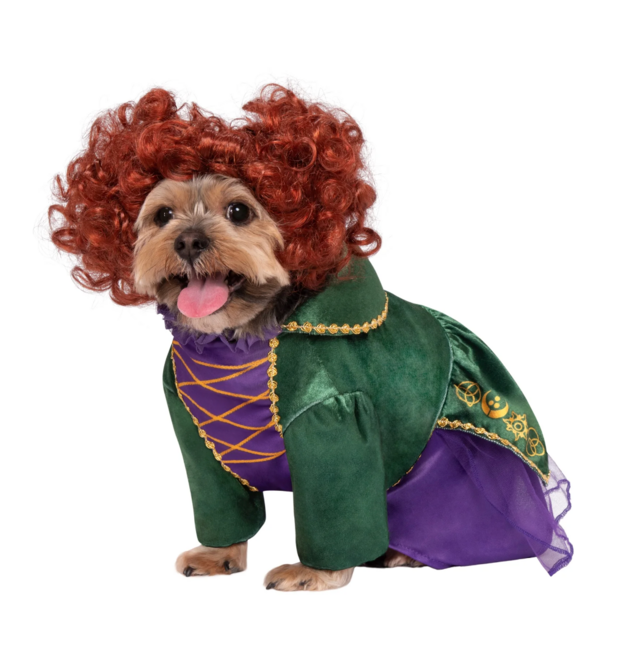 Hocus Pocus: Winifred Pet Costume