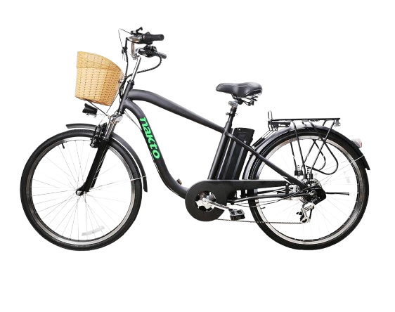 NAKTO Electric Bike for Adults