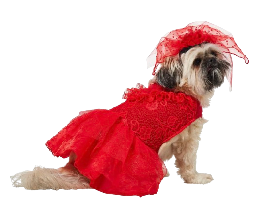 Frisco Red Ruffle Dog & Cat Dress + Headpiece