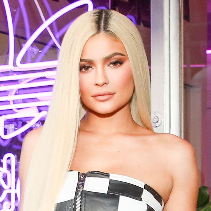 Kylie Jenner Just Dyed Her Hair Frosty Pastel Pink -- See Her New