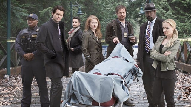 Rainn Wilson stars as Detective Everett Backstrom in the new one