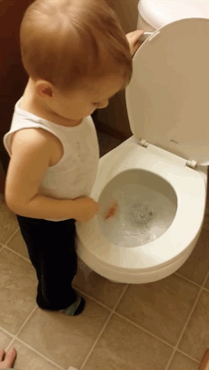 This Little Boy's Reaction to Flushing His Pet Fish Down the Toilet
