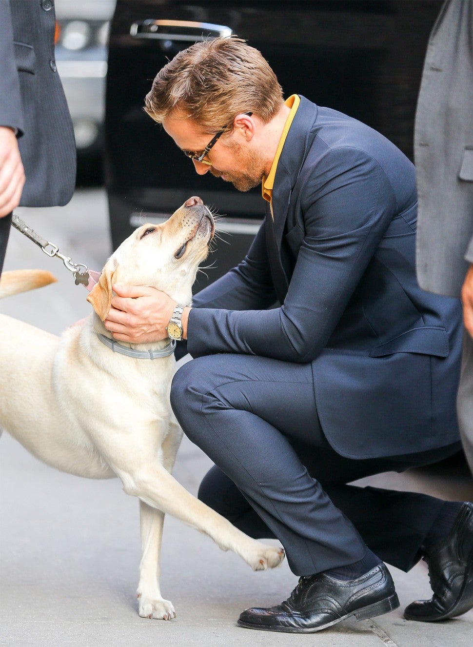 This Dog Met Ryan Gosling and Had the Exact Same Reaction You Would