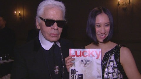 Karl Lagerfeld's Cat Made 3 Million Euros in 2014 – The Hollywood Reporter