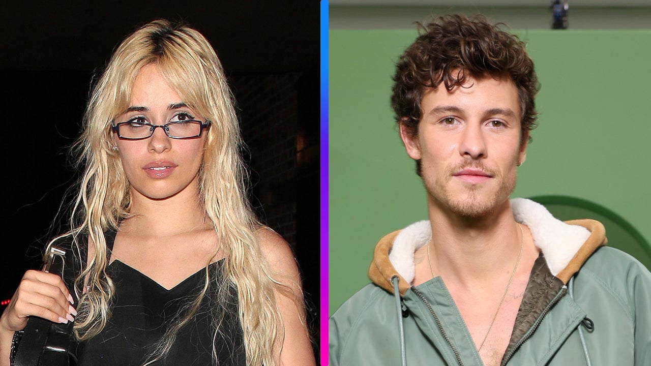 New Photo - Camila Cabello and Shawn Mendes Spotted Together 1 Year After Breakup