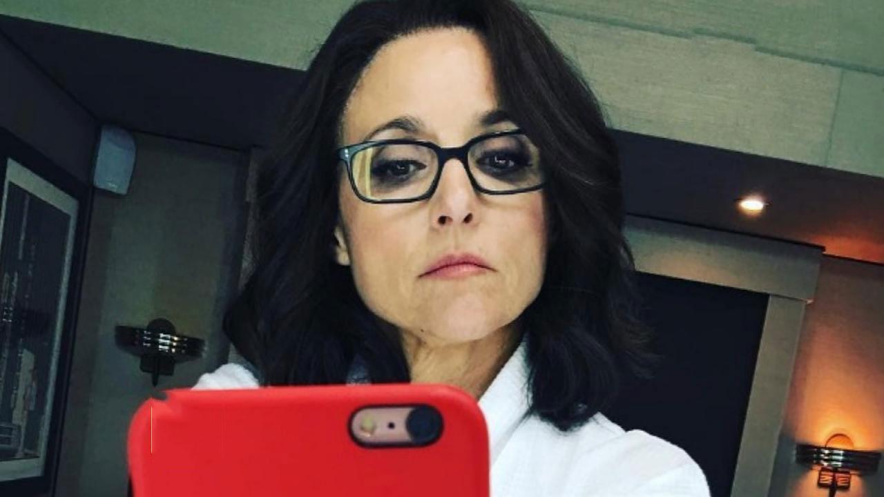 julia louis-dreyfus posts after chemo as she fights cancer