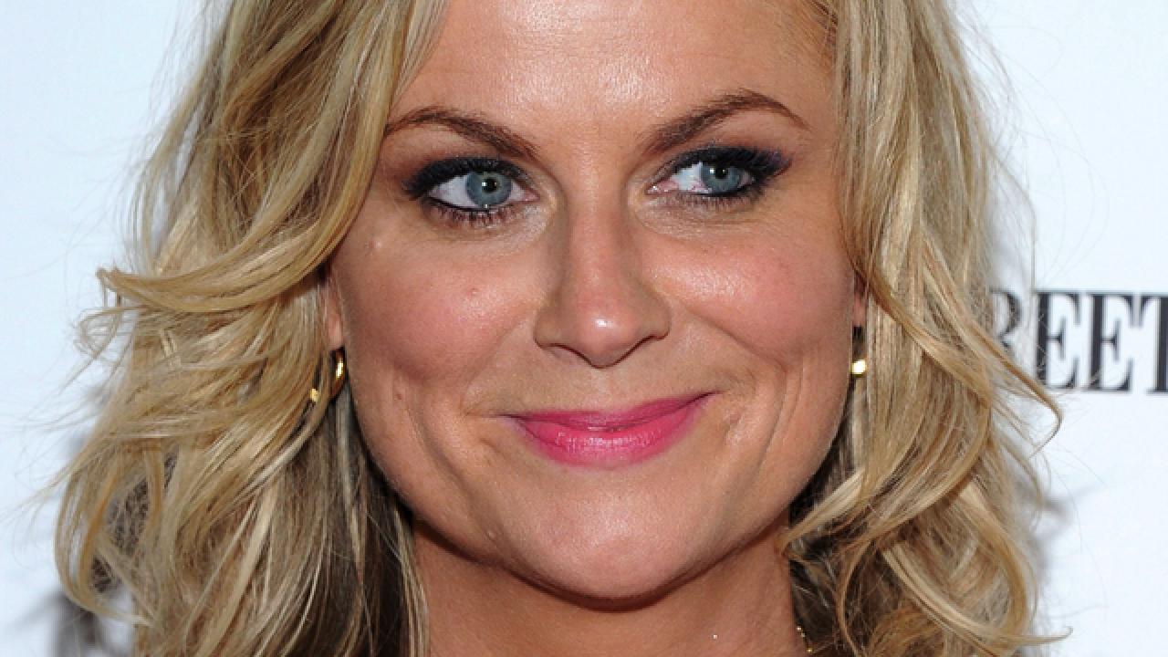 Amy Poehler Fake