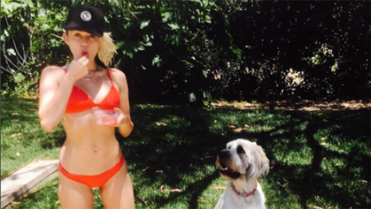 Bikini Shemale Miley Cyrus - Miley Cyrus Poses in a Bikini With Her Cute Dogs to Celebrate Summer: See  the Pic! | Entertainment Tonight