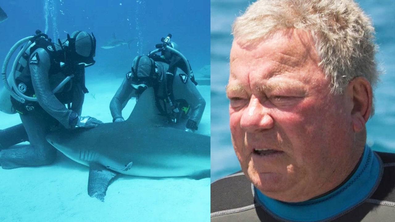 See 90-Year-Old William Shatner Gets Up Close and Personal With Sharks