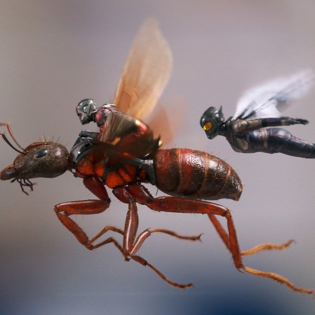 Ant-Man and the Wasp