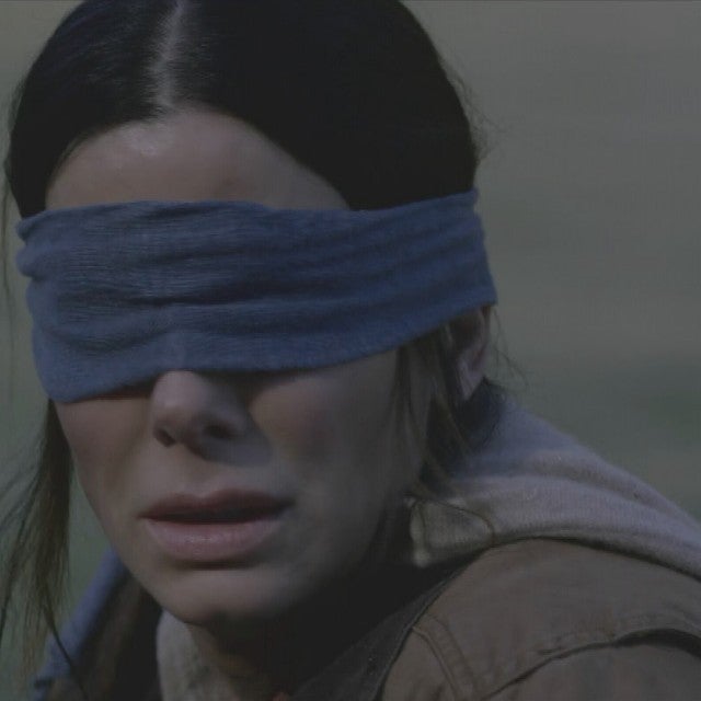 Bird Box Challenge