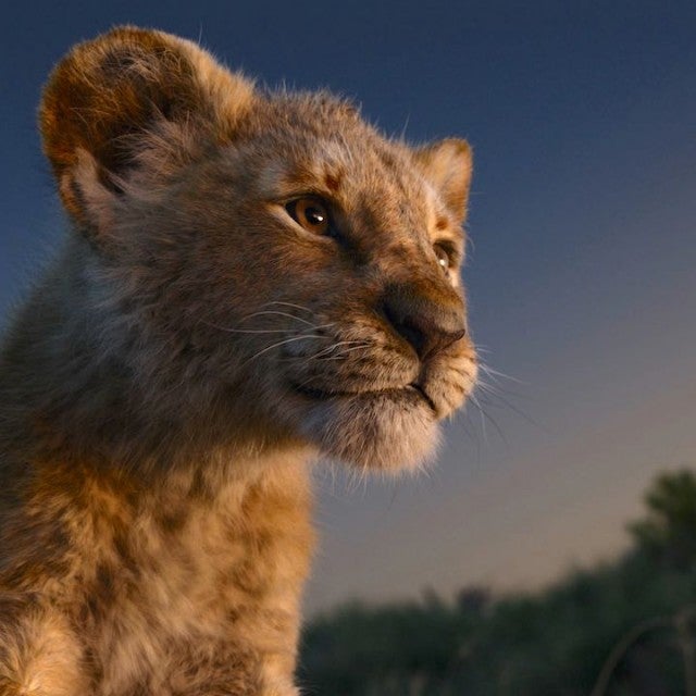 The Lion King - Articles, Videos, Photos and More | Entertainment Tonight