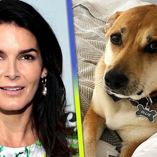 Angie Harmon Claims Delivery Driver Killed Her Dog, Company Says It's Investigating