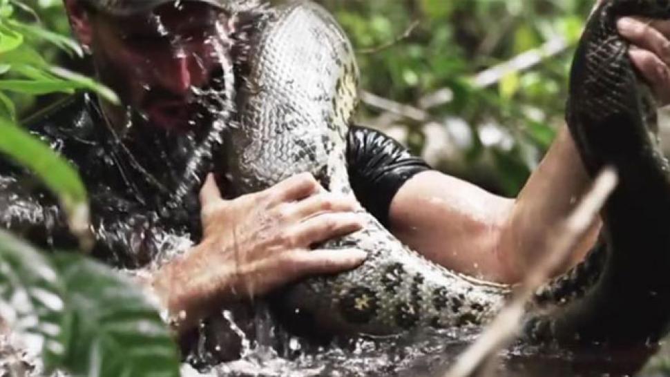 'Eaten Alive' Is Definitely the Craziest Reality Show Ever (And You May