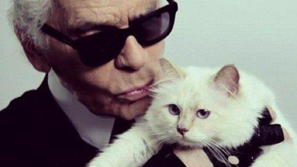 Karl Lagerfeld Says His Cat Made More Than $3 Million Last Year ...