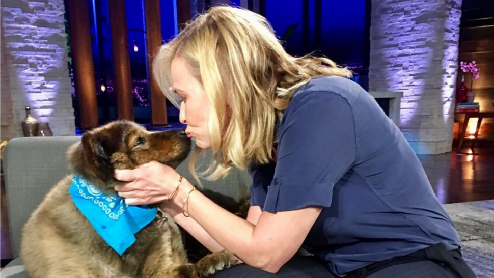 Chelsea Handler's Beloved Dog Tammy Dies: 'We Will Miss You Dearly