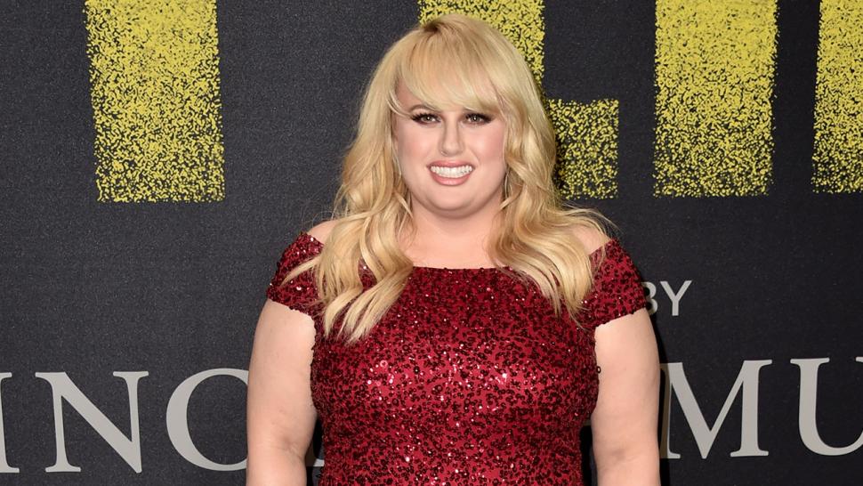 Rebel Wilson fat amy