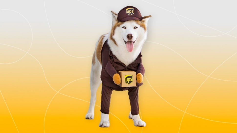 watch dog costumes