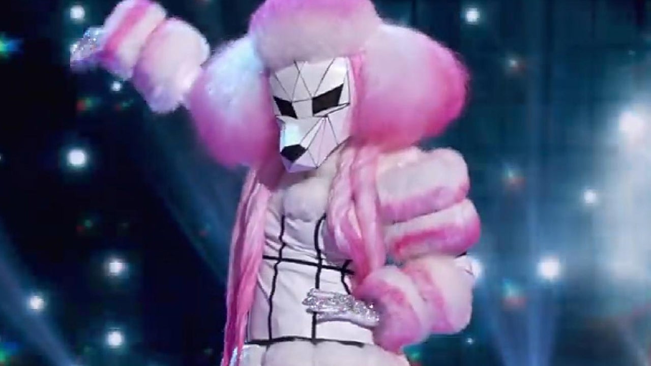 'The Masked Singer' Spoilers, Clues and Our Best Guesses at the Secret