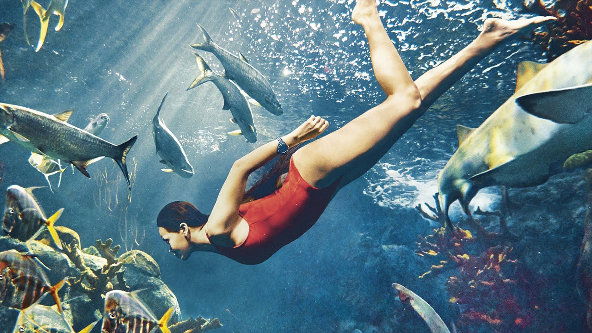 See Rihanna Swimming With Sharks in Behind-The-Scenes Video!