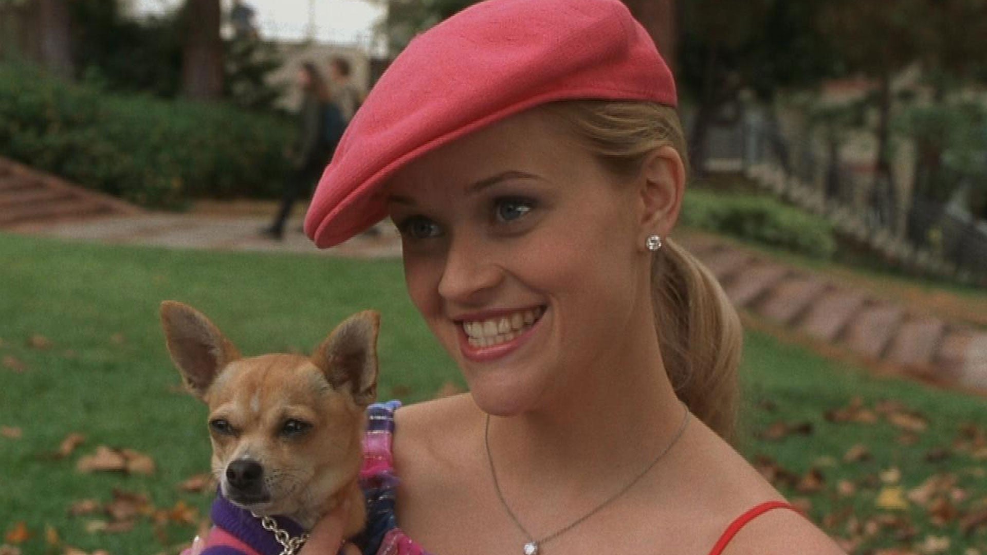 Legally blonde. Блондинка в законе 3. Блондинка в законе трейлер. Блондинка в законе великан. Украшения из фильма блондинка в законе.