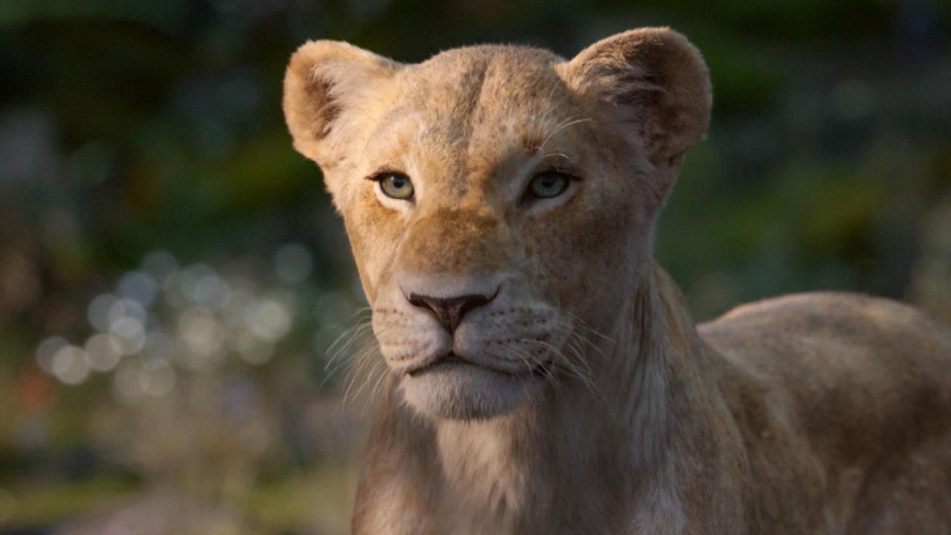 Disney Just Released 7 New Cast Photos from 'The Lion King' - PureWow