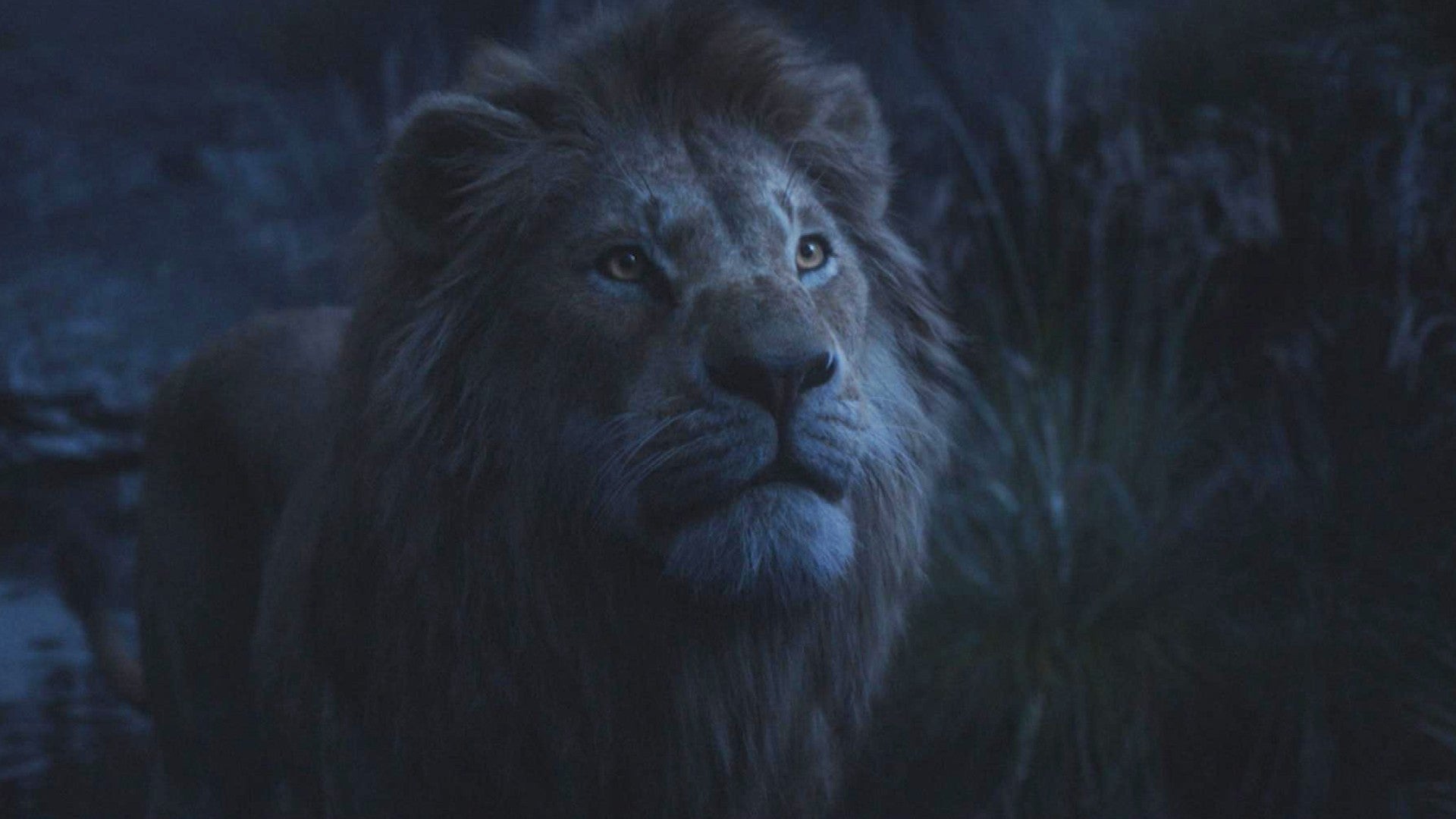 Фото шрама из короля льва 2019