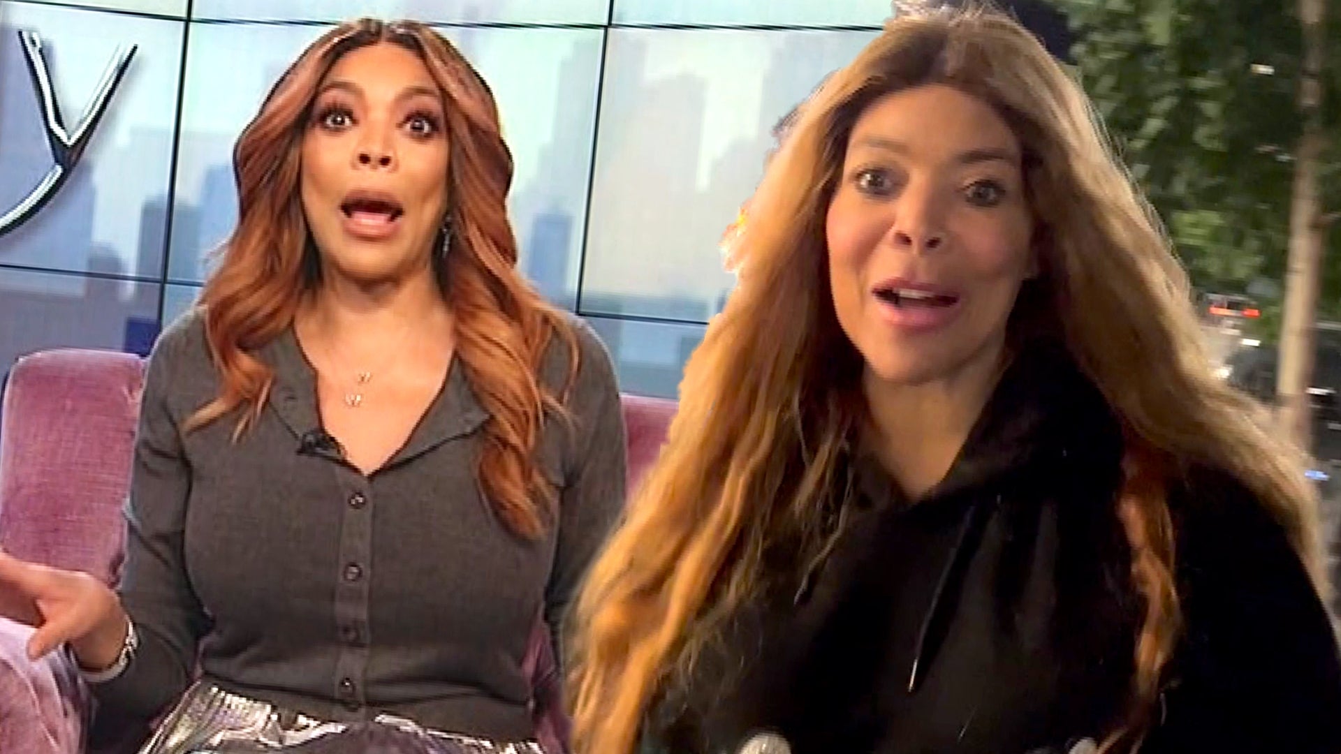 Wendy Williams Has Plans for Life and Love After Talk Show's Demise ...