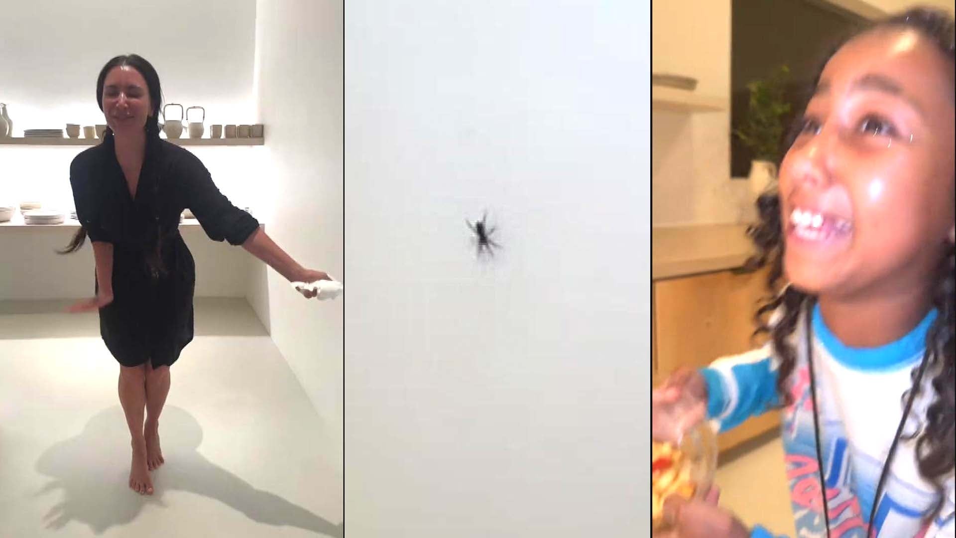 Watch Kim Kardashian and North West Freak Out After Spider Interrupts Their TikTok 