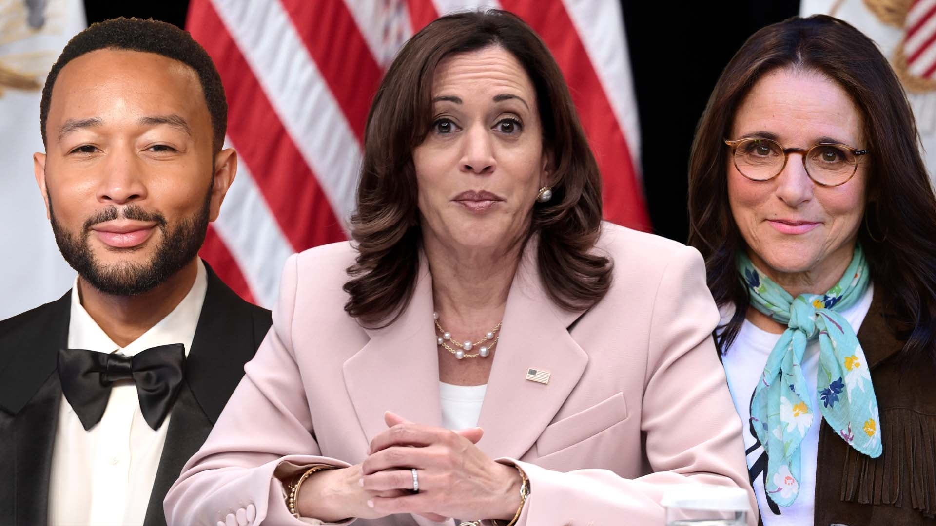 Joe Biden Endorses Kamala Harris for 2024 Election: John Legend, Julia Louis-Dreyfus and More React