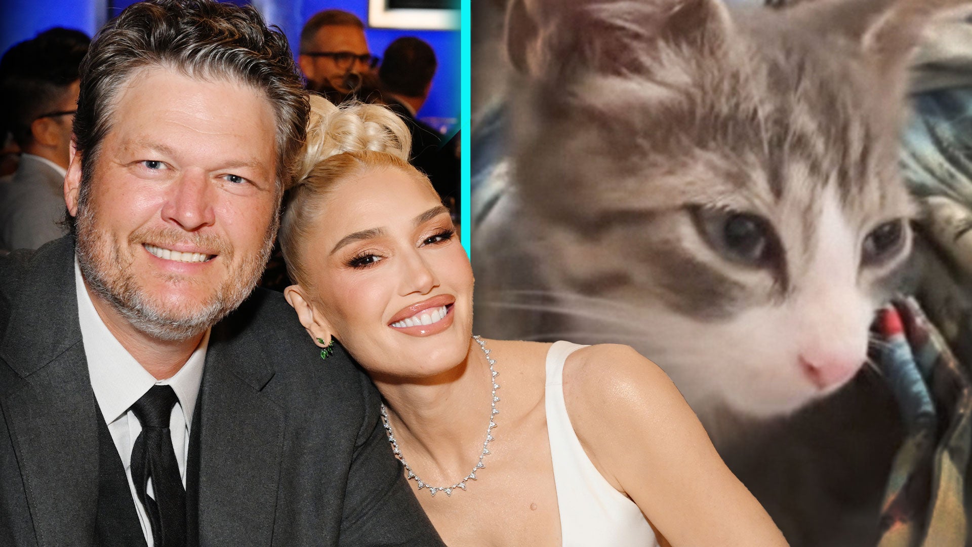 Gwen Stefani and Blake Shelton Announce New Addition to Their Family!  