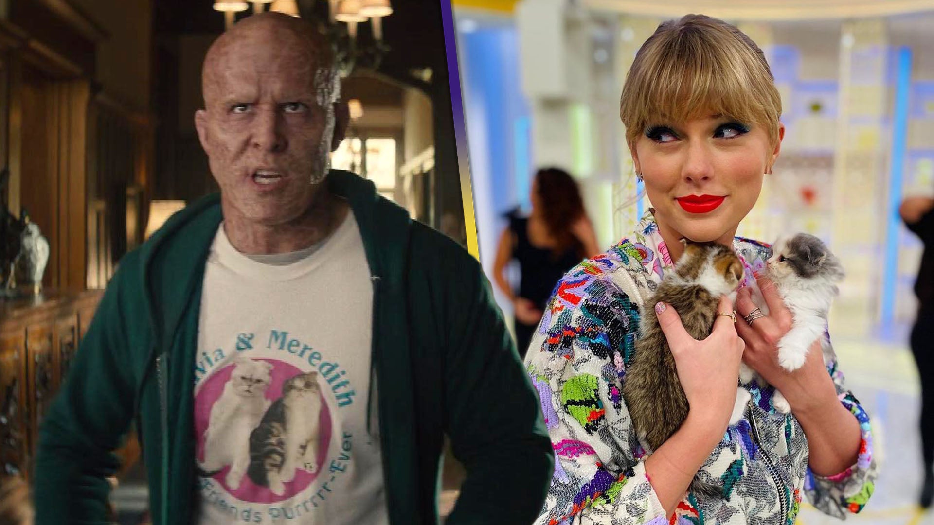 Ryan Reynolds Jokes Taylor Swift Sued Him for Including Her Cats in 'Deadpool 2'