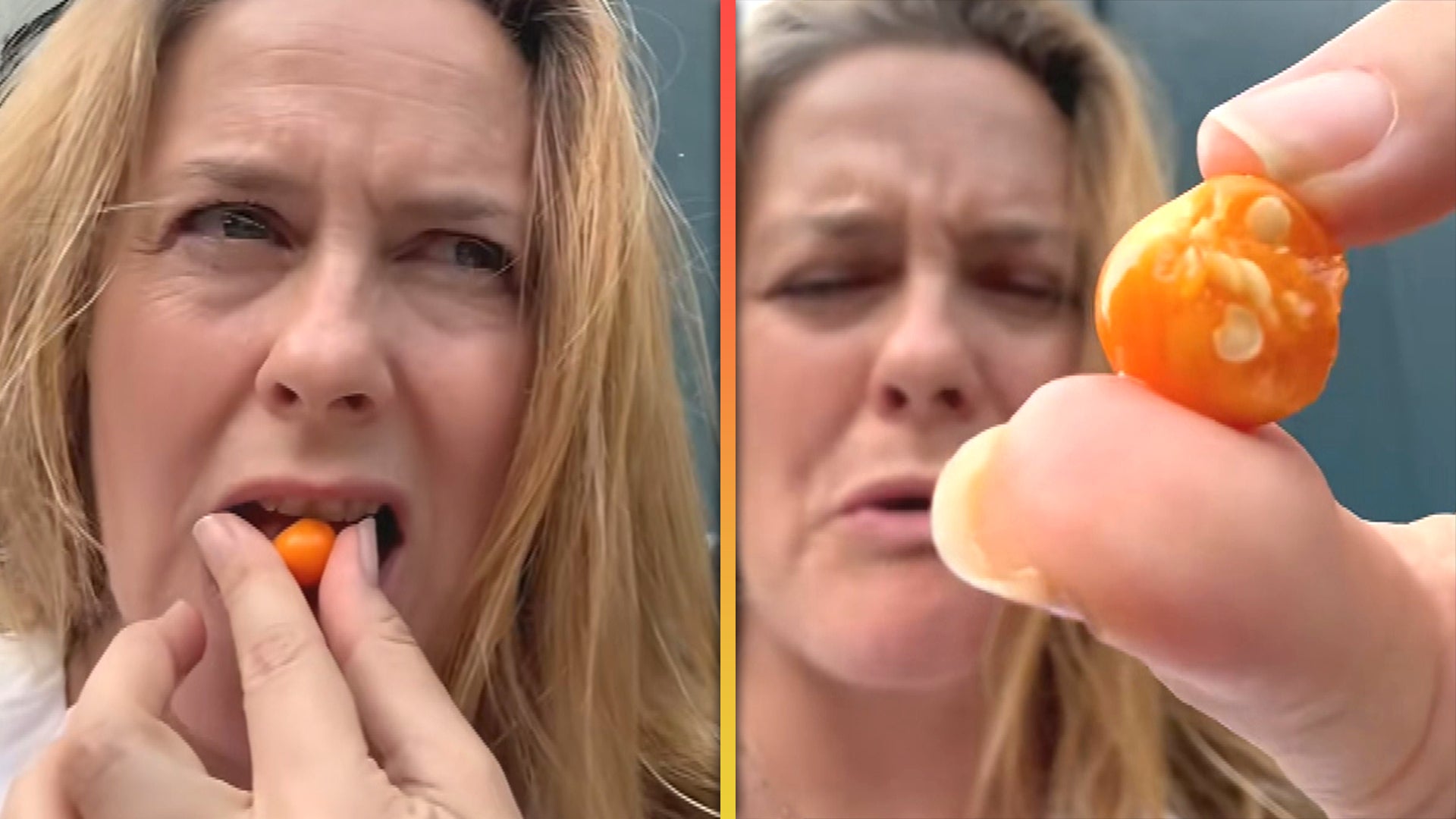 Alicia Silverstone Eats Poisonous Berry Off the Street