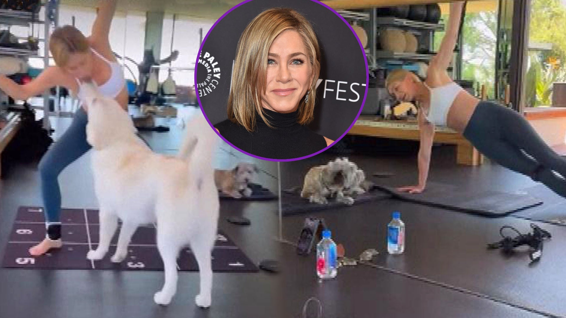 Watch Jennifer Aniston's Dog Interrupt Her Grueling Workout