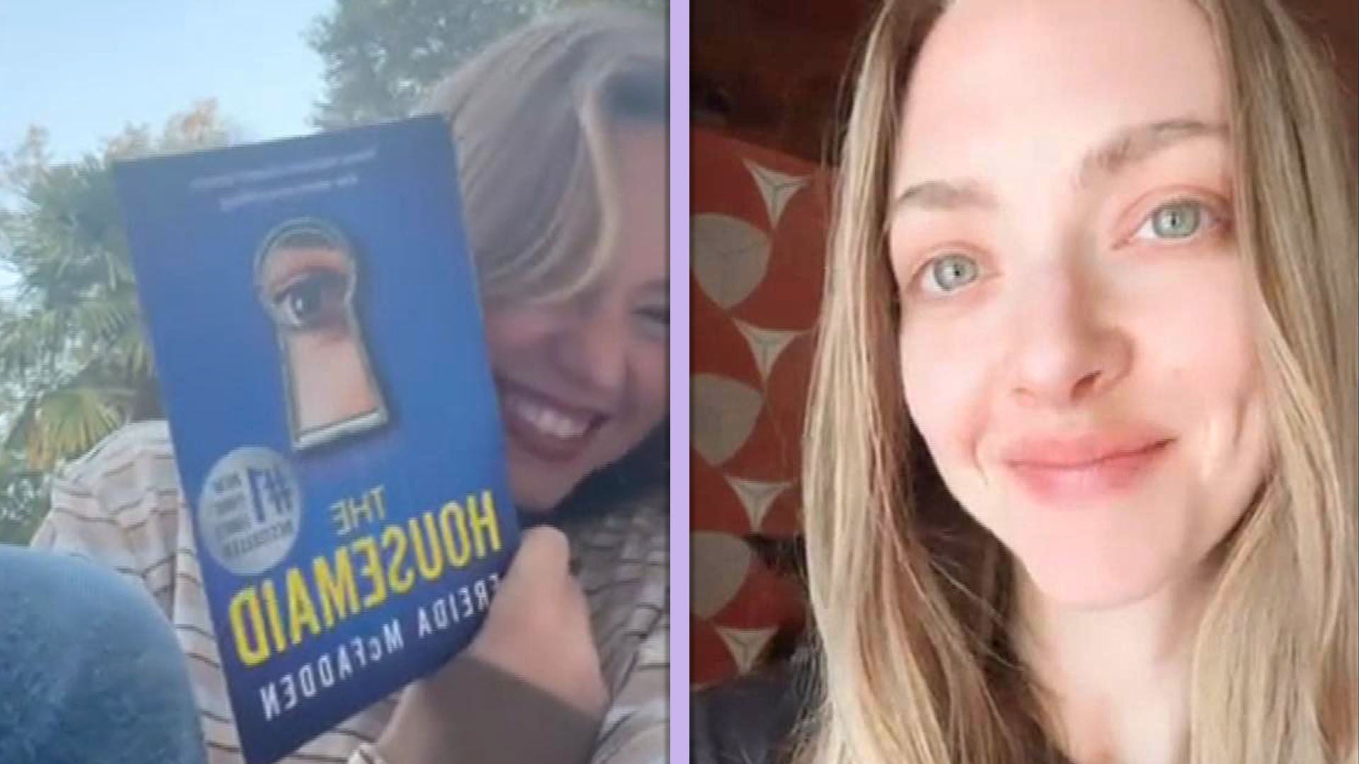 Sydney Sweeney and Amanda Seyfried Team Up for 'The Housemaid' Movie!